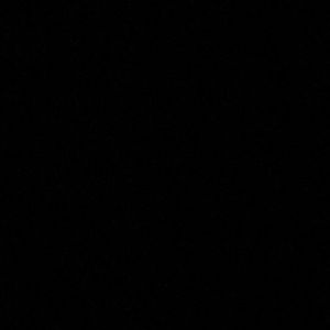 Meet your Posher, Noah